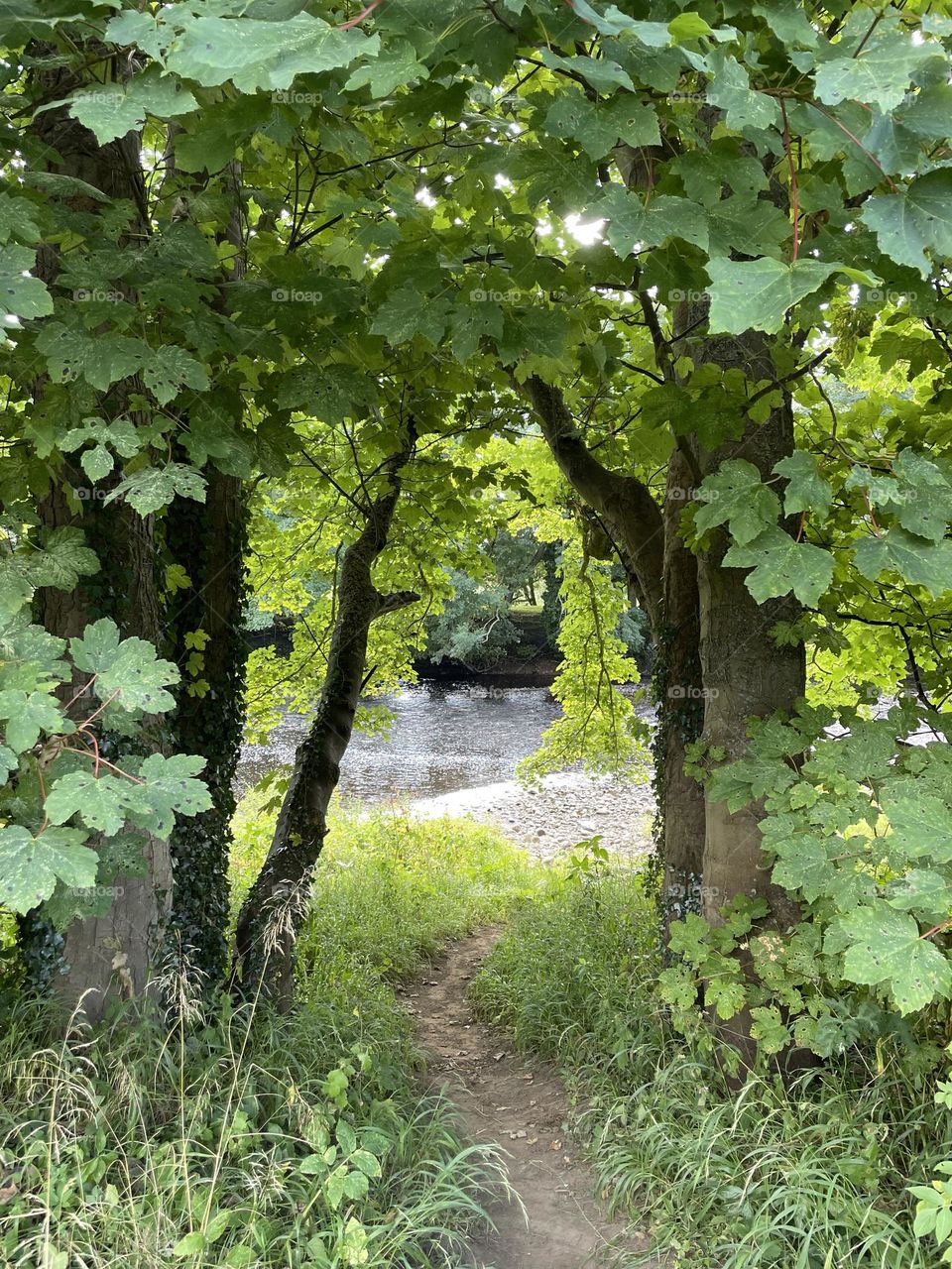 Yesterday’s walk … 5 mile circular … loved peeping through the trees to catch glimpses of the river 