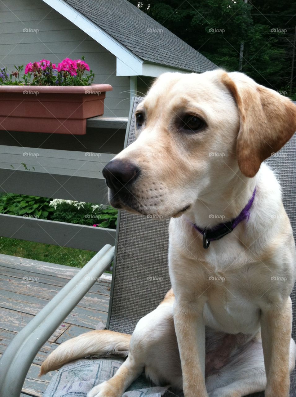 Enjoying summer with my best friend 