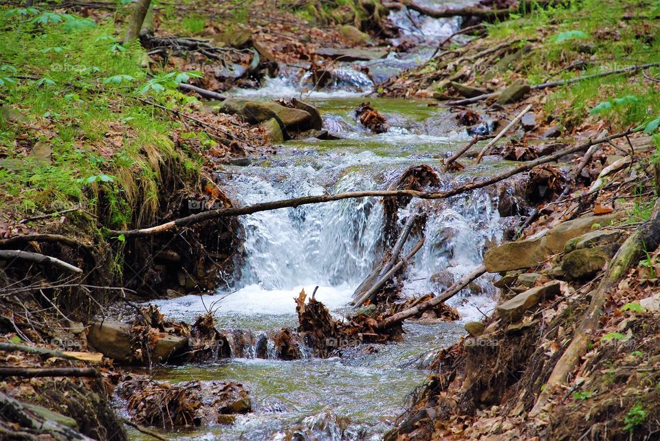 Mountain stream