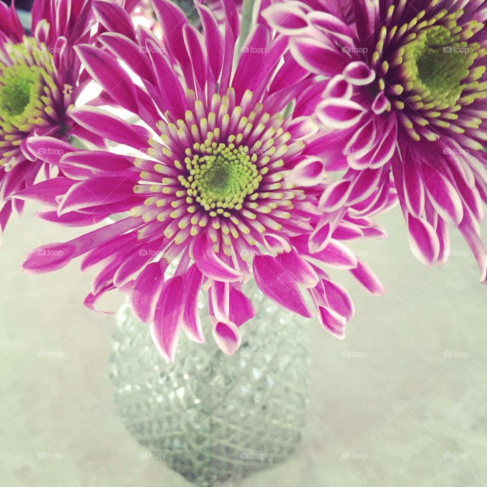 Pink flowers in vase . Flowers in a glass vase 
