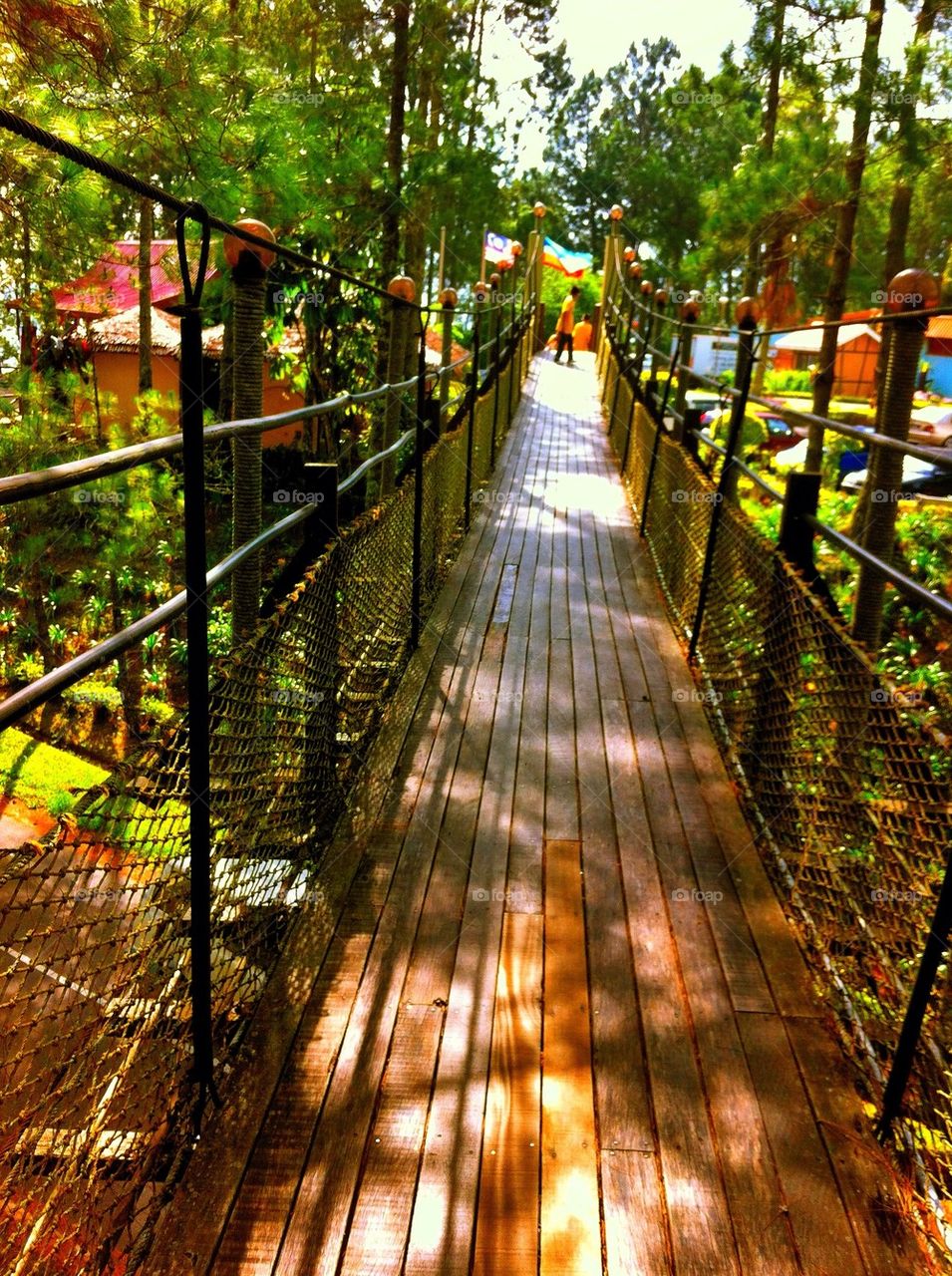 Hanging bridge