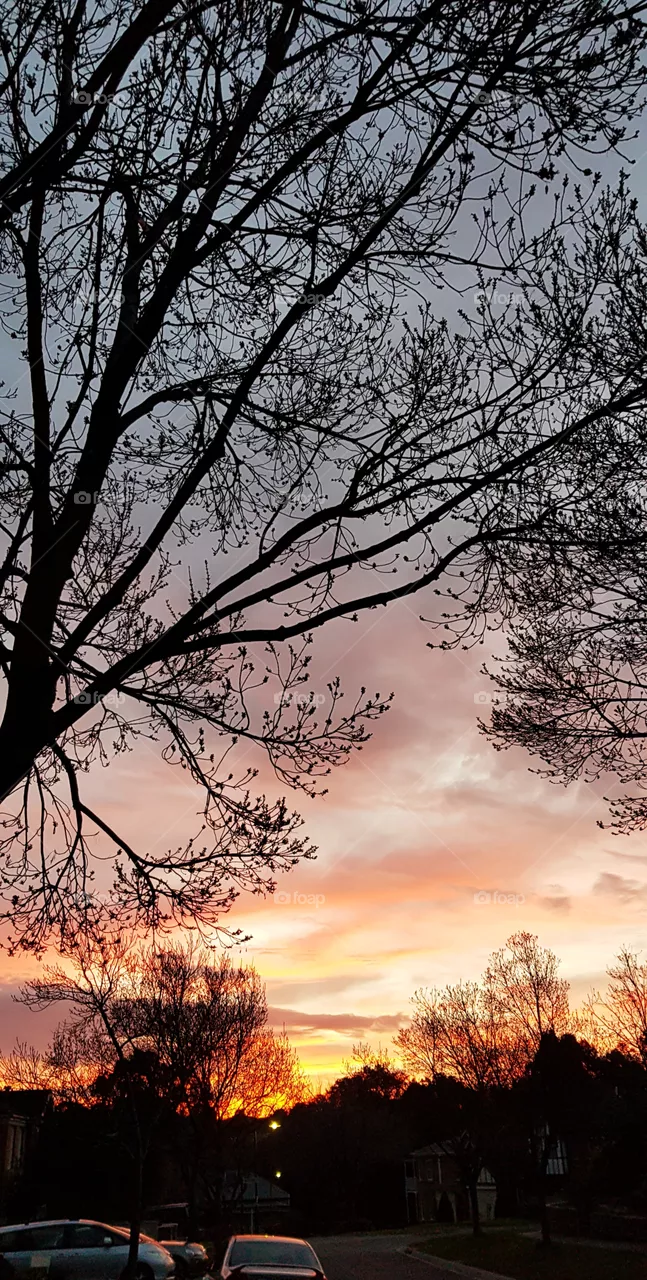 Sunset