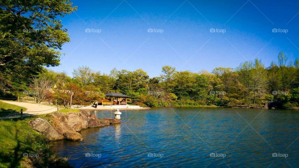 Lago japonês