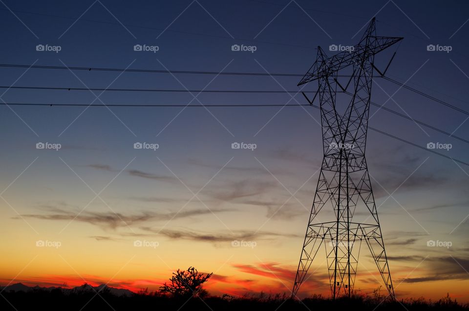 Desert Powerlines