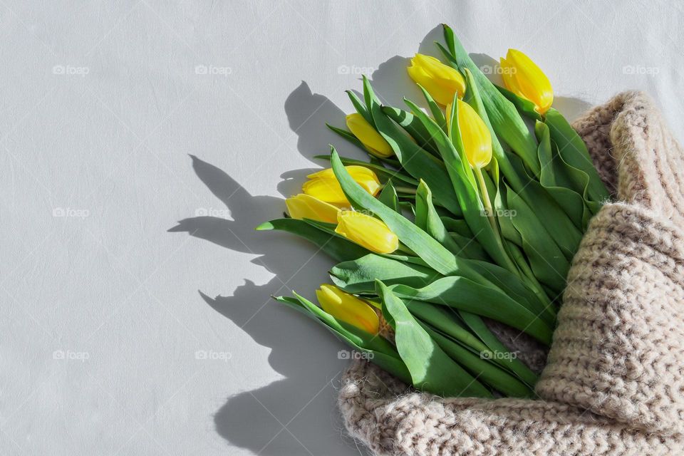 6Beautiful view of a bouquet of yellow tulips in a nude knitted cardigan on the right on a white sheet on the bed with copy space on the left, flat lay close-up. The concept of the arrival of spring, floral backgrounds and wallpapers.