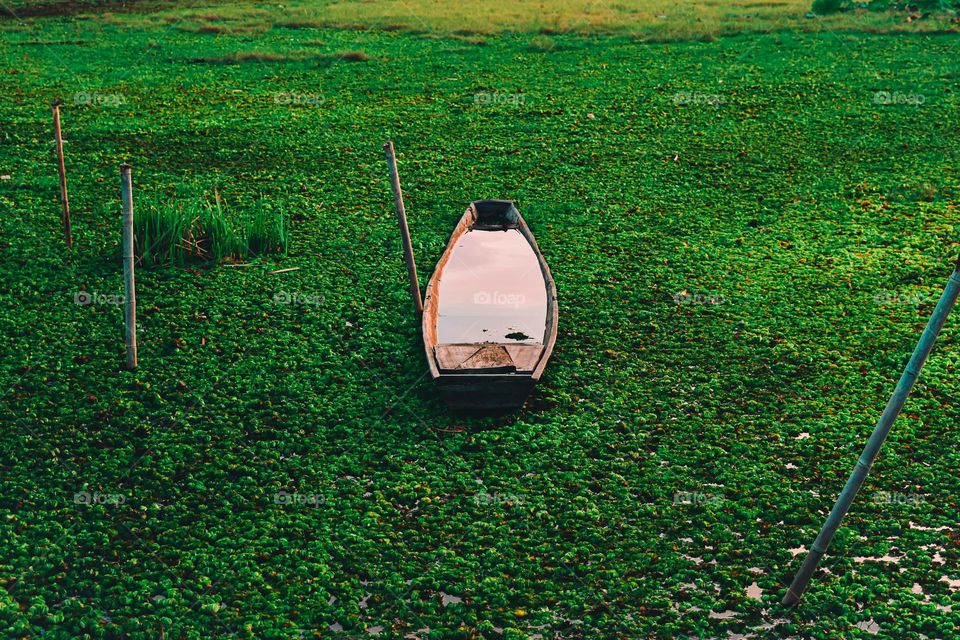 Boat on the surface covered with weeds