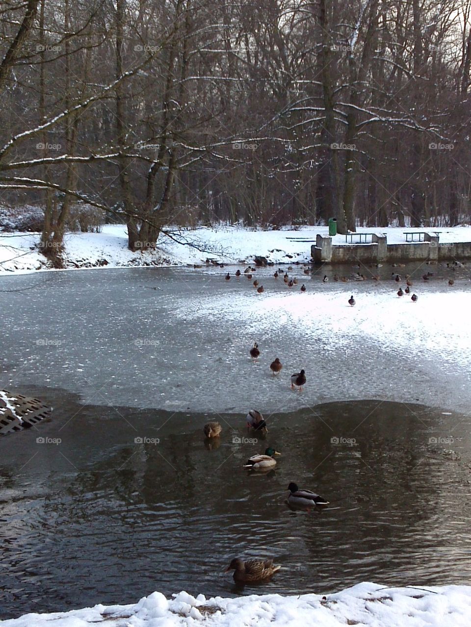 walk on ice