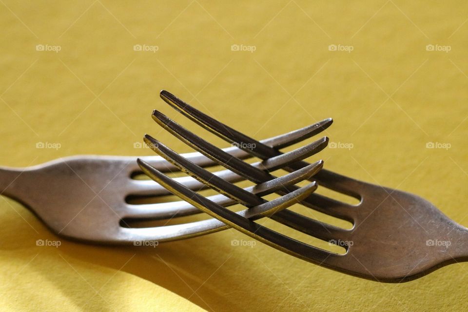 Forks