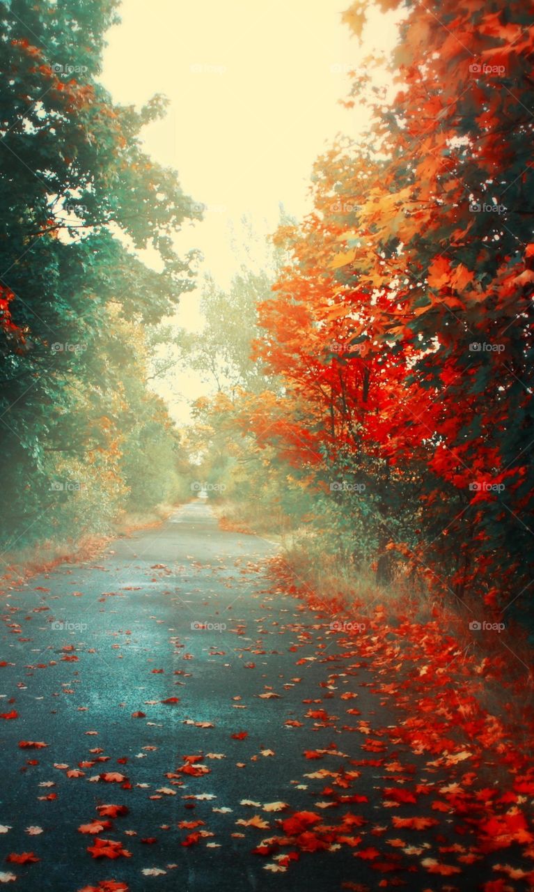 Naturel beauty place