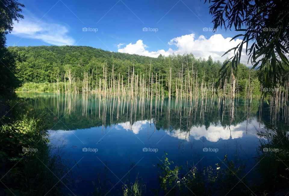 Scenic view of lake