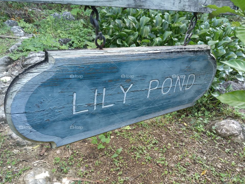 lily pond sign