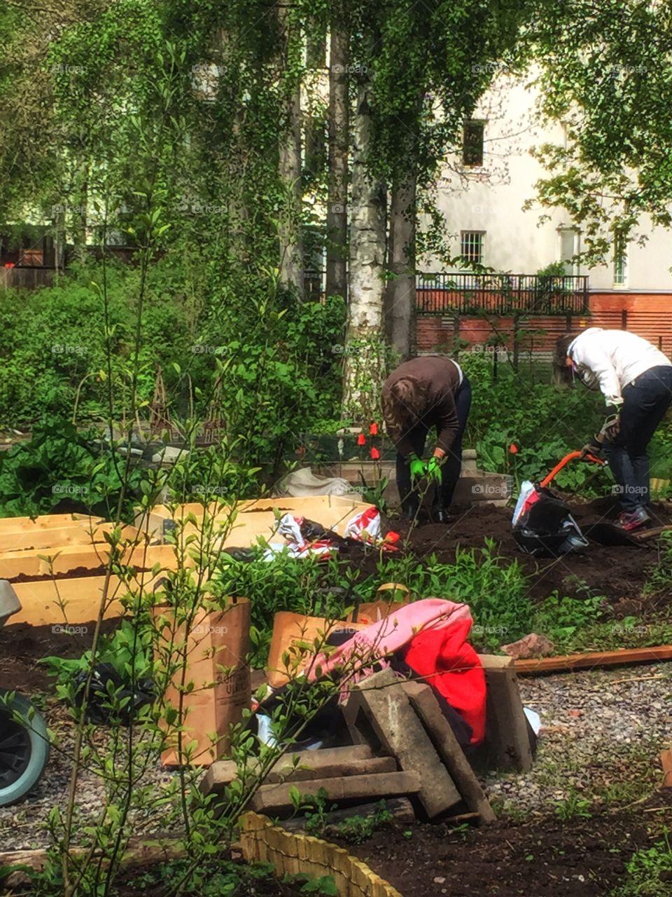 Women gardening. Women gardening