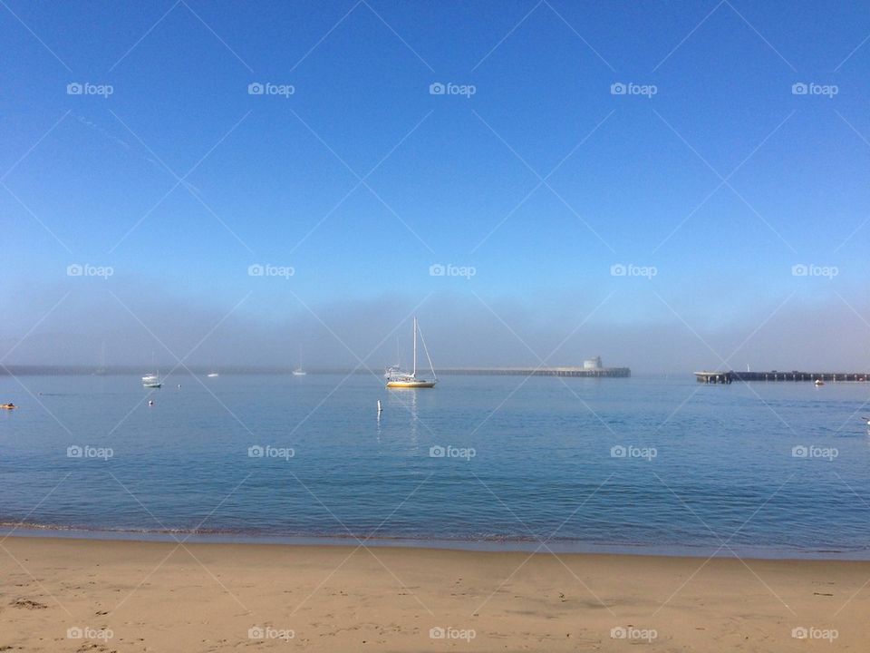 Fog over the San Francisco Bay