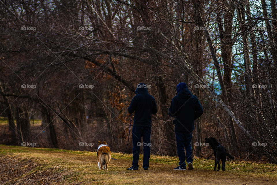 A walk in the park, walking dogs in the early spring time 
