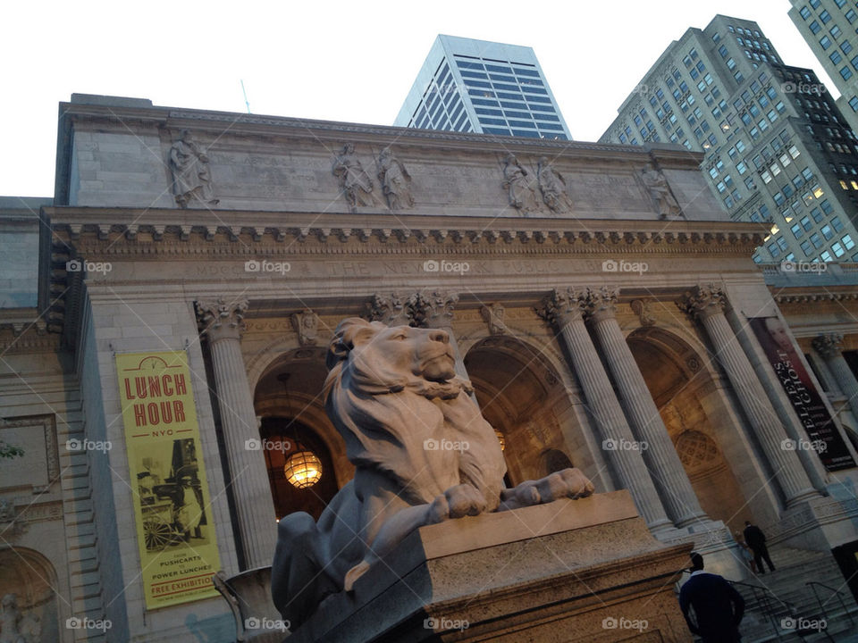 new lion library public by jaedelrey