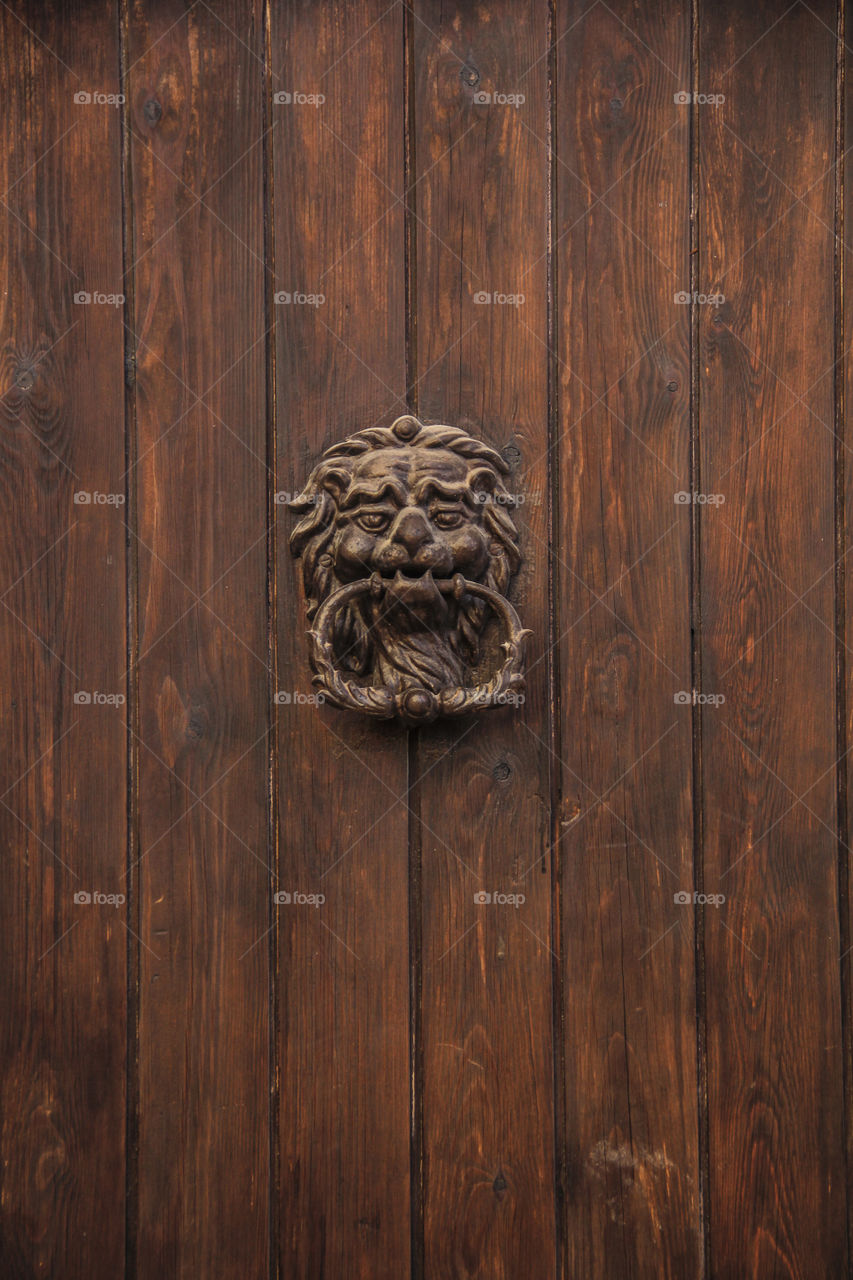Old wooden door with a lion handler for knocking