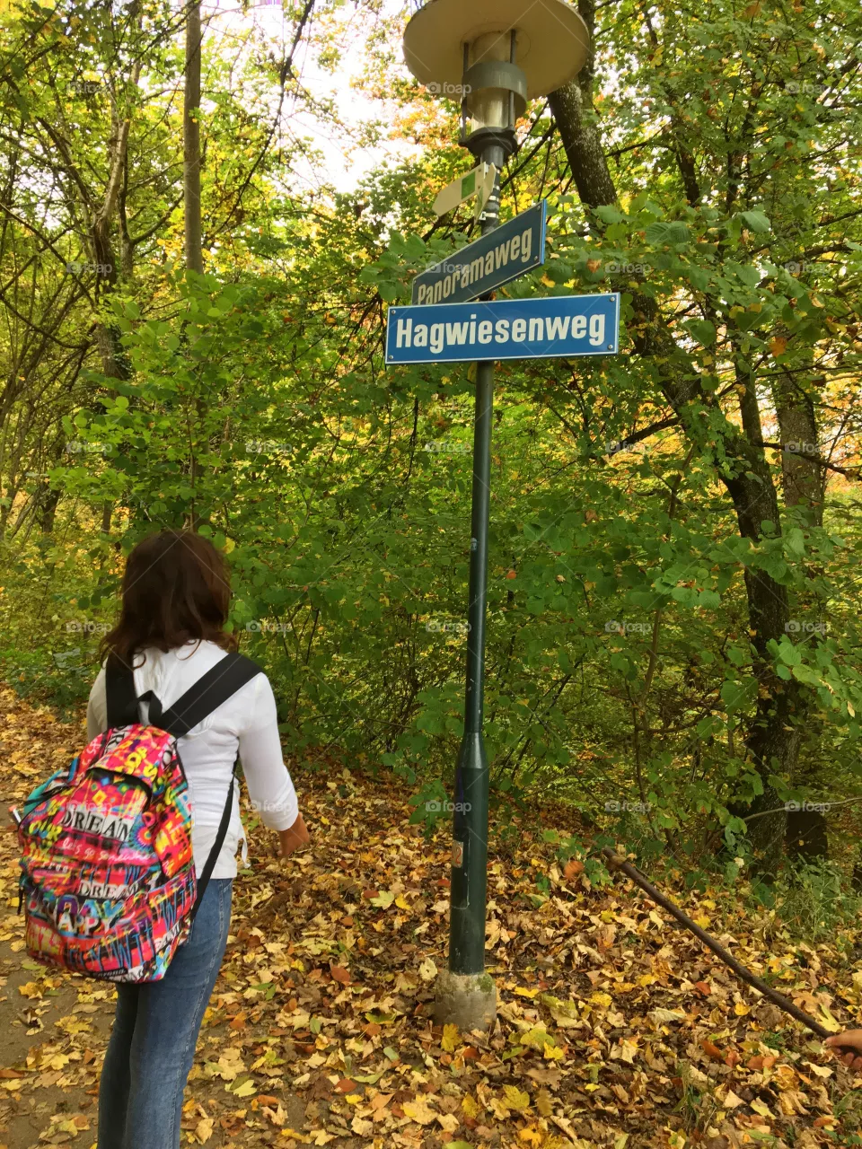 Hiking day