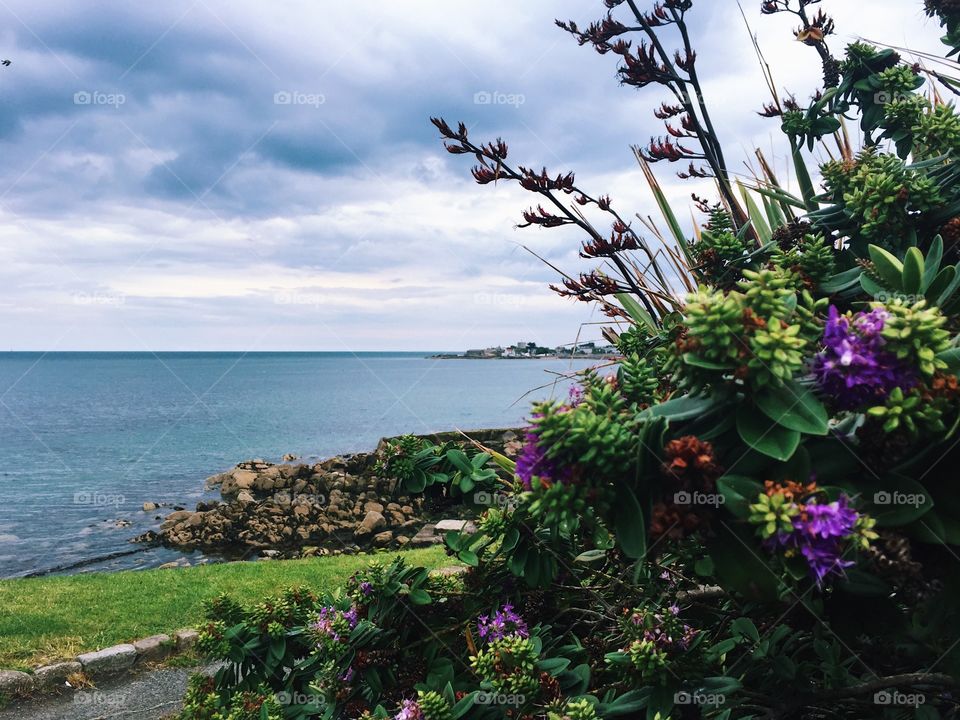Flowers and the ocean 