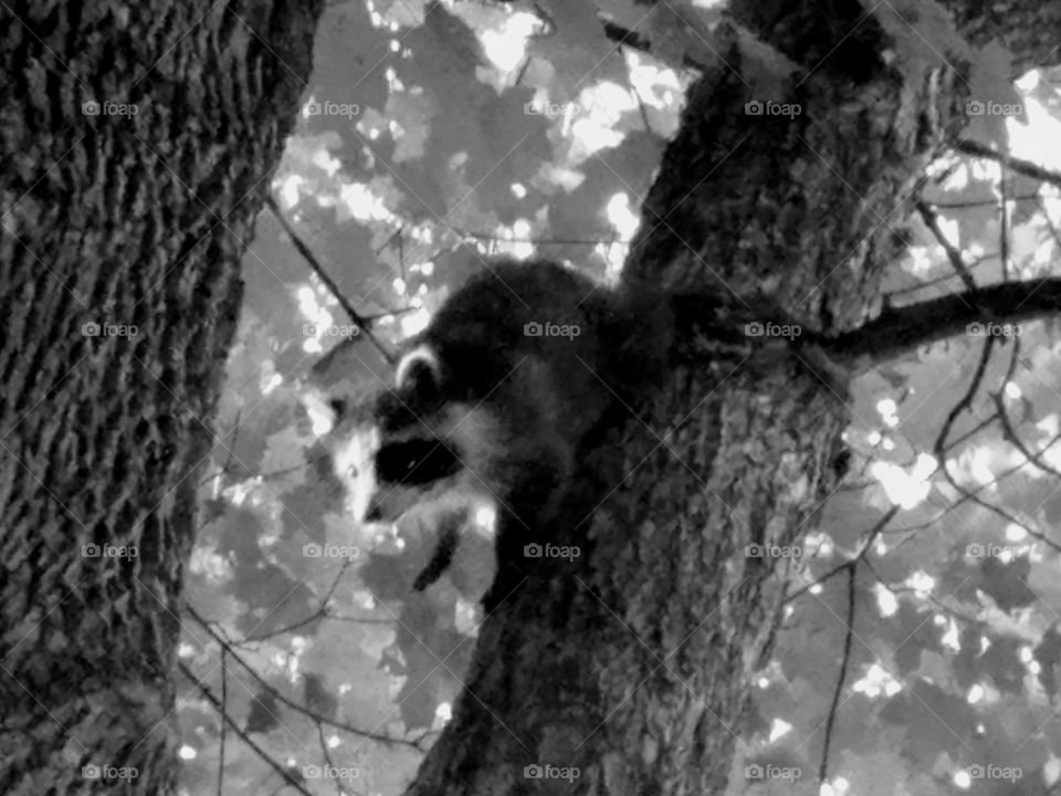 Driving the Back Roads and enjoying everything around us