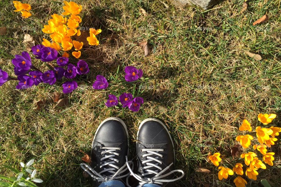 Springflowers and shoes