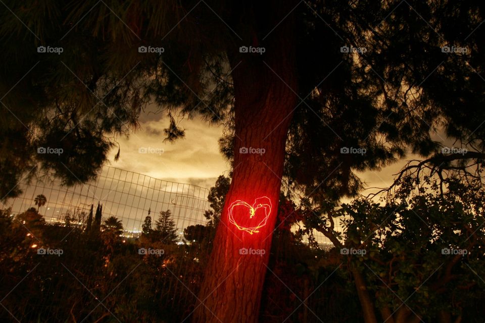 heart on pine tree at night