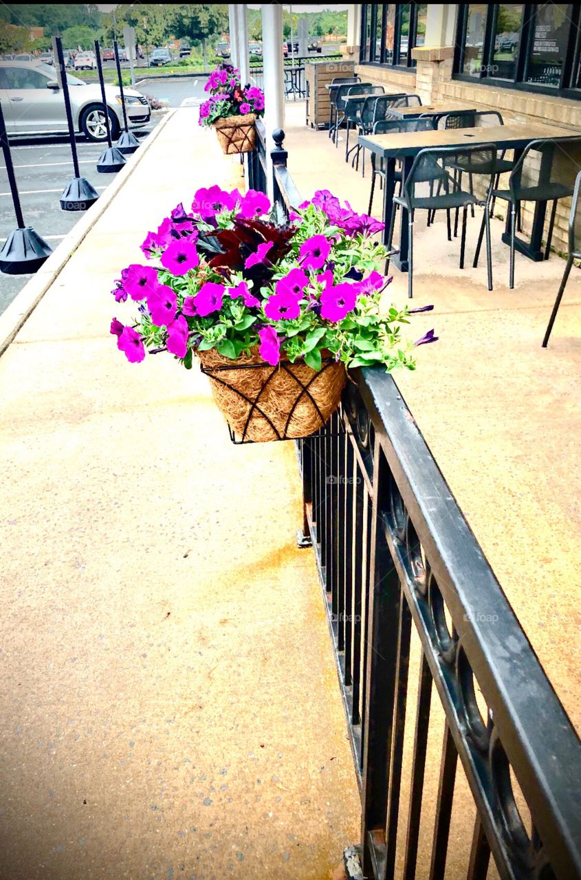 Summer is pretty 😍