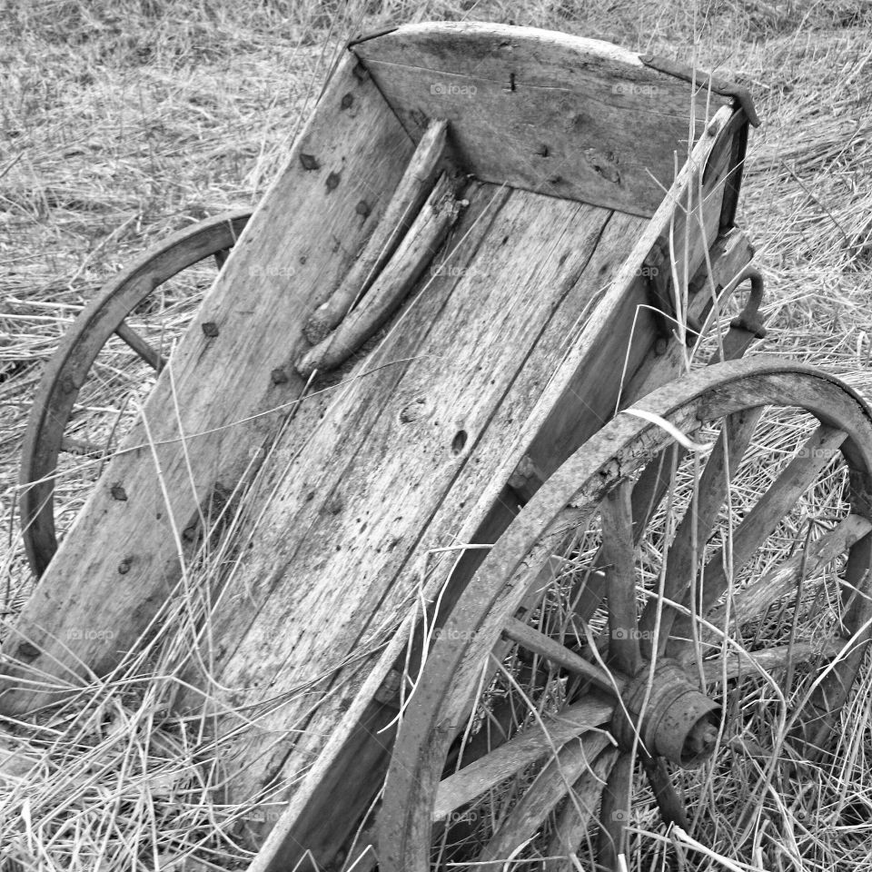 Old wheel barrol 