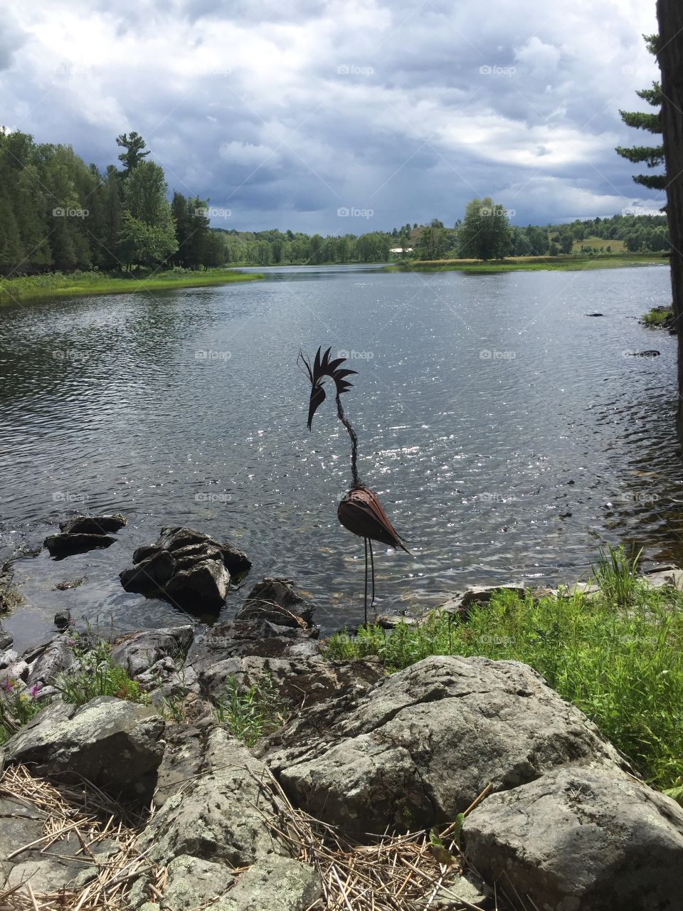 By the lake