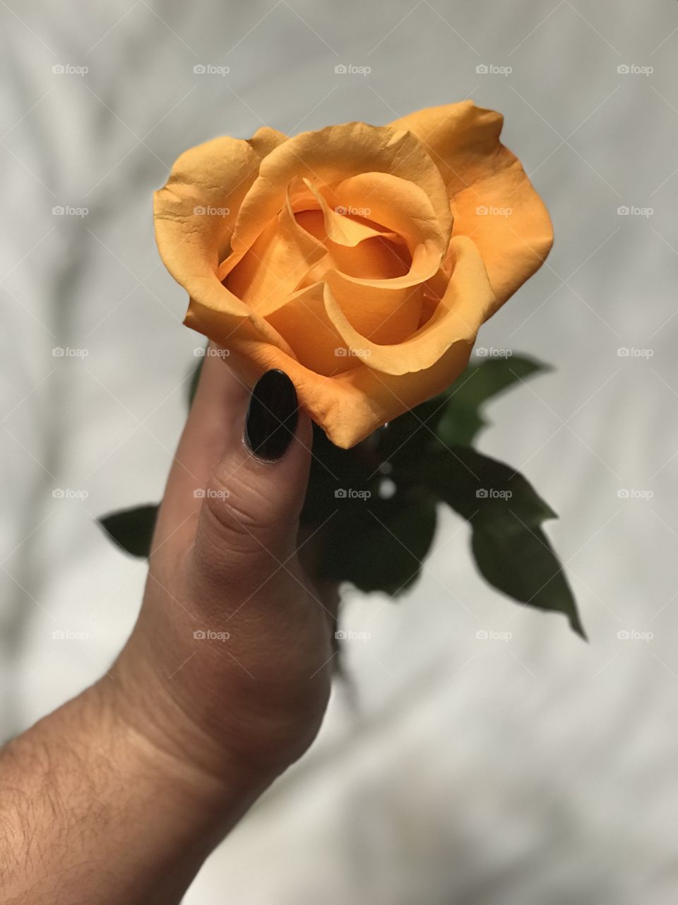 Flower in hand 