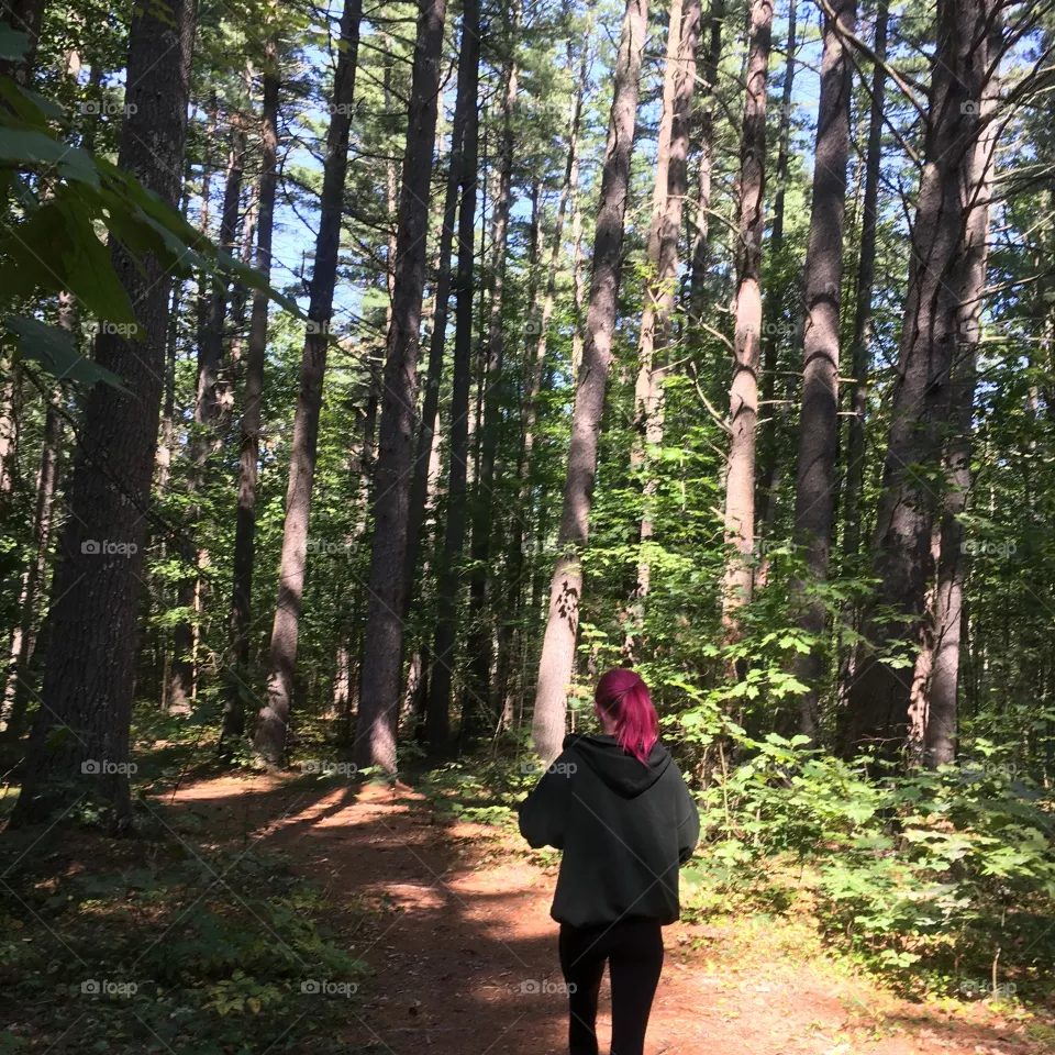 Trees