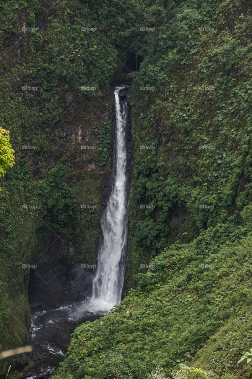 waterfall costa rica. in the midle of the road