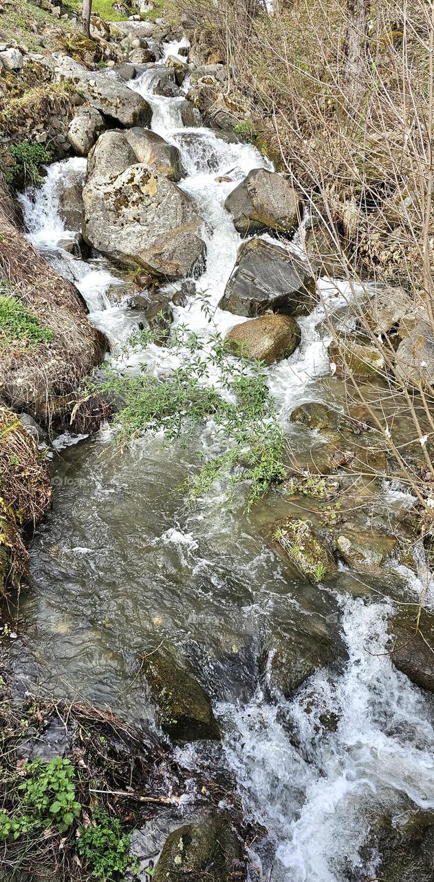 ruisseau des Pyrénées