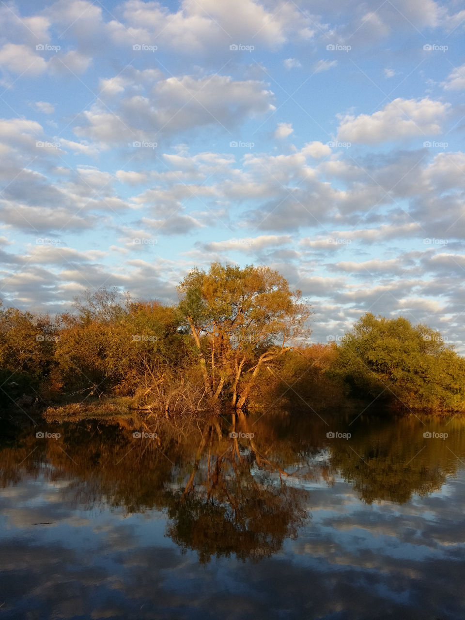 Cloud Reflections