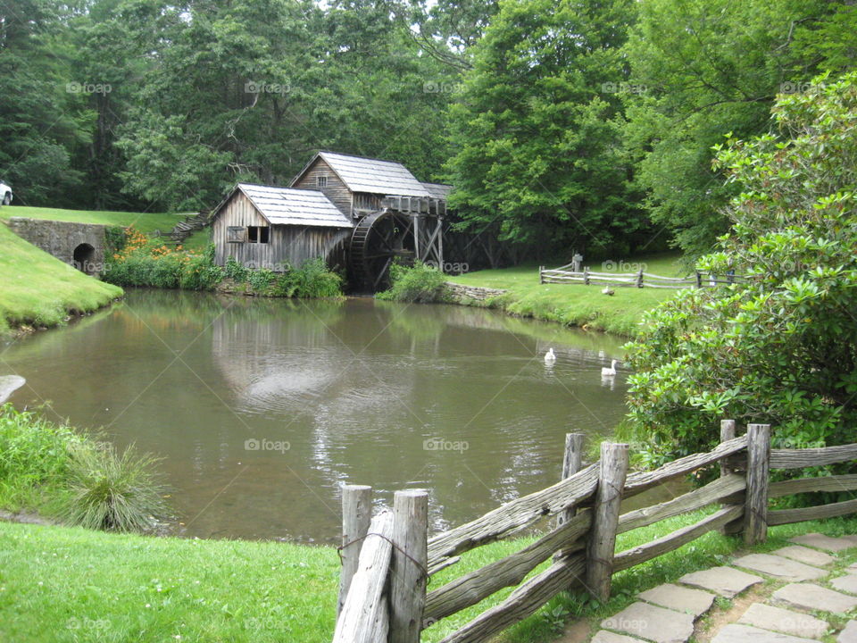 Water, Wood, Nature, Lake, Summer