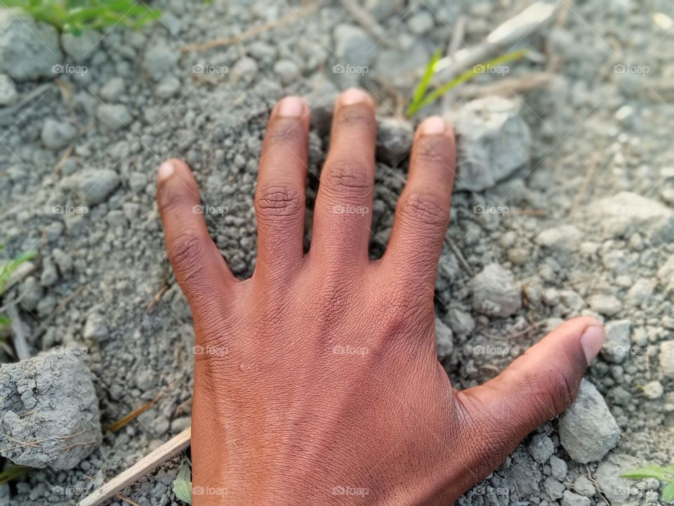 finger photography India