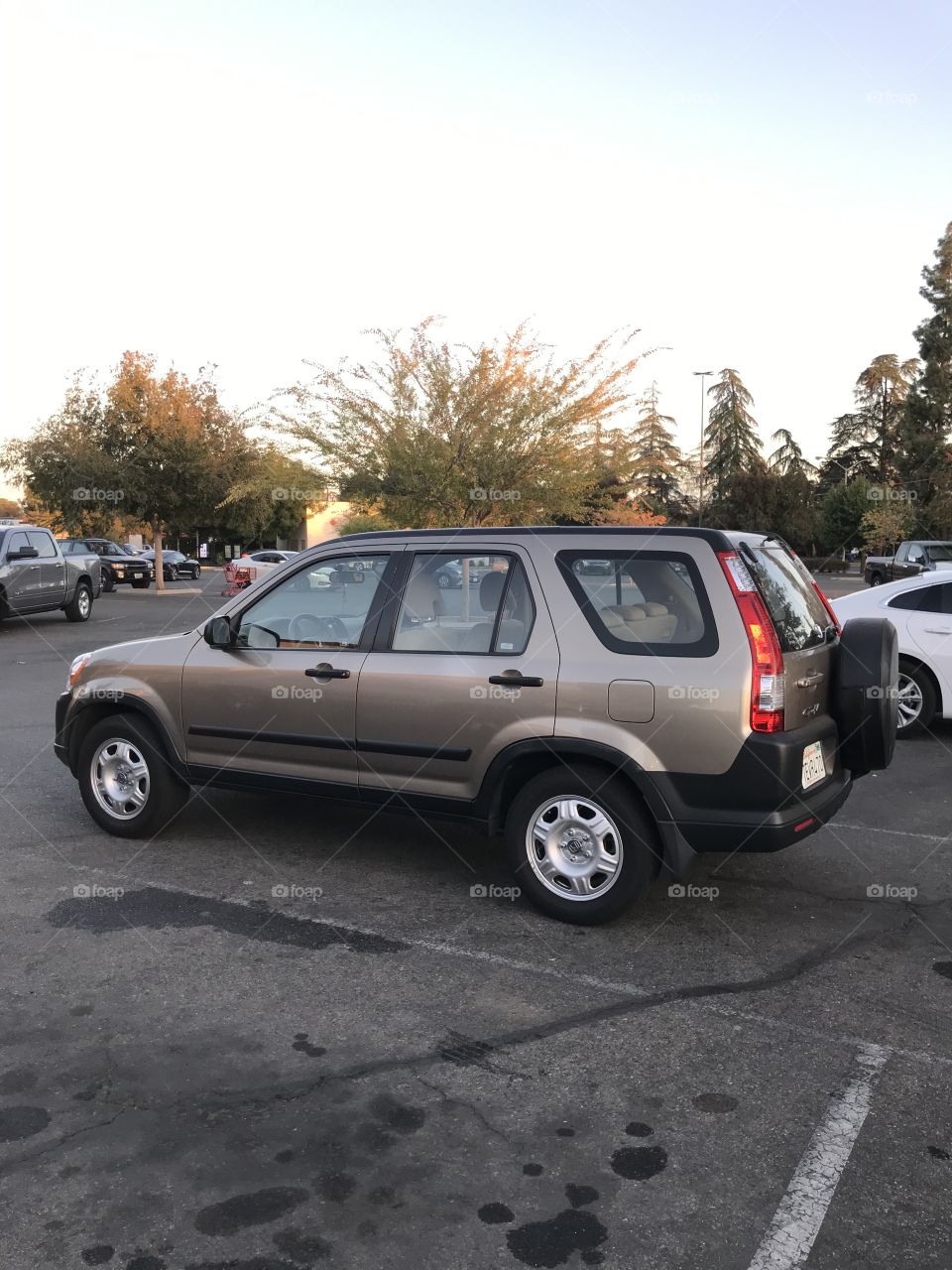 A Honda SUV parked in the parking lot of a supermarket.