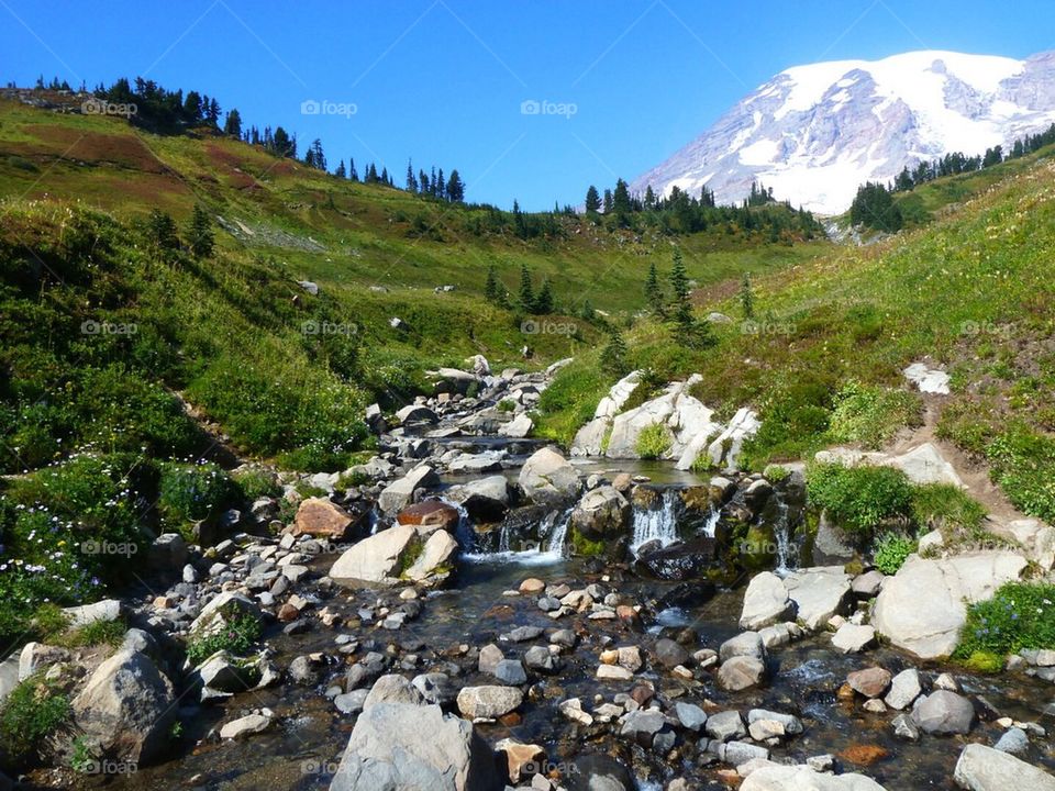 Mount Rainier