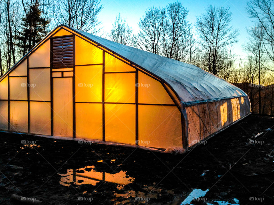Greenhouse at sunset 