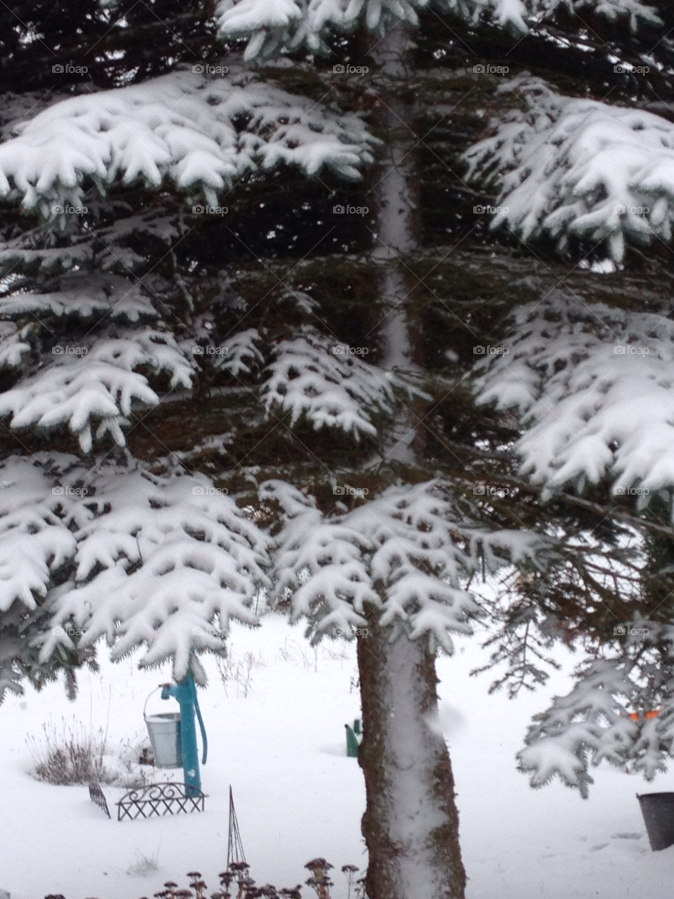 snow nature tree winter by liselott