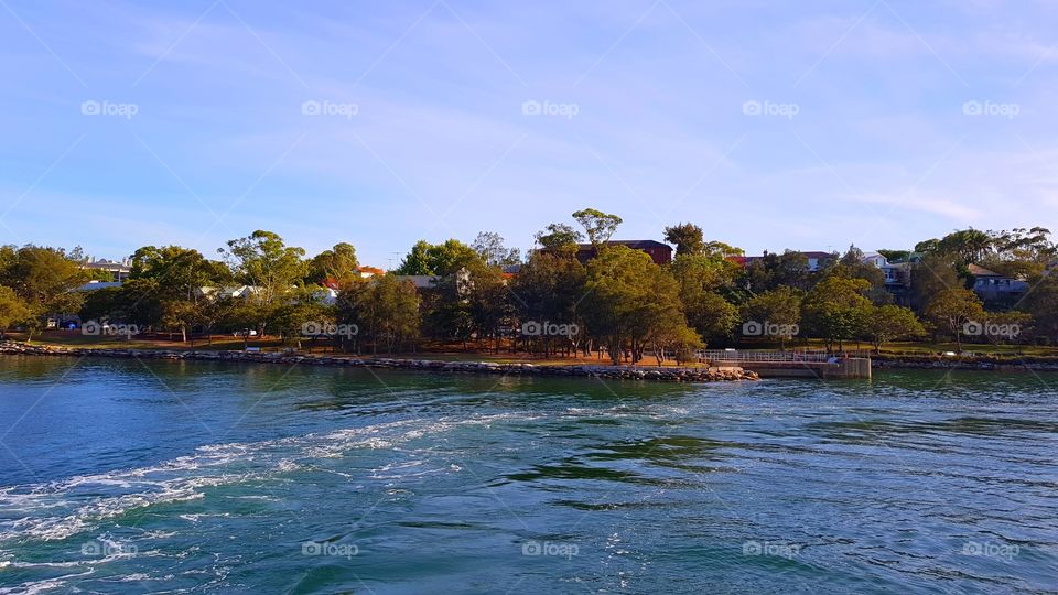 Water, No Person, Tree, Travel, Nature