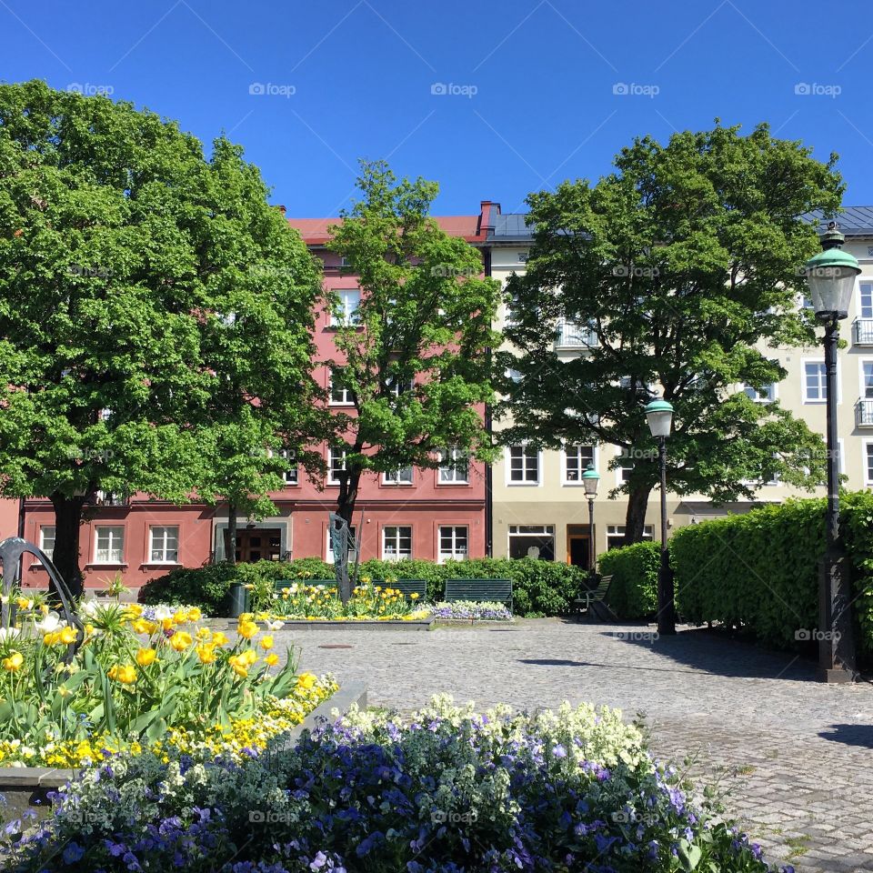 Summertime in the South of Sweden.