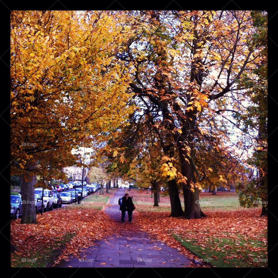 Autumn in Harrogate