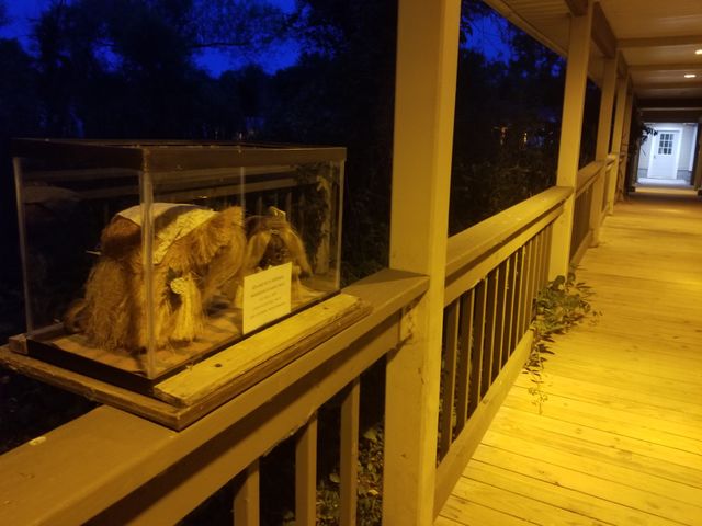 Troll Bridge