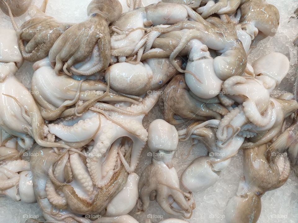 Octopuses displayed on tray