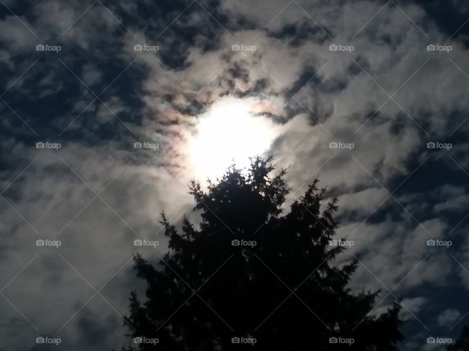 sun behind clouds and tree