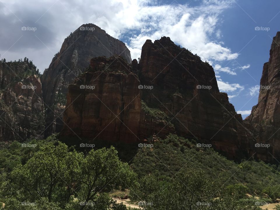 Zion's View