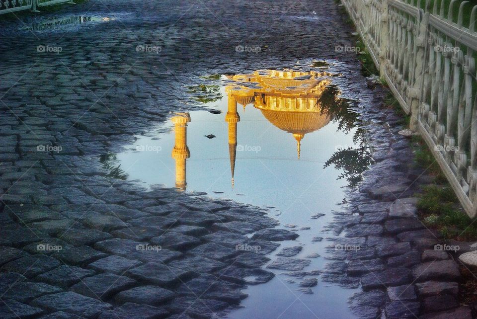 Puddle reflection. 