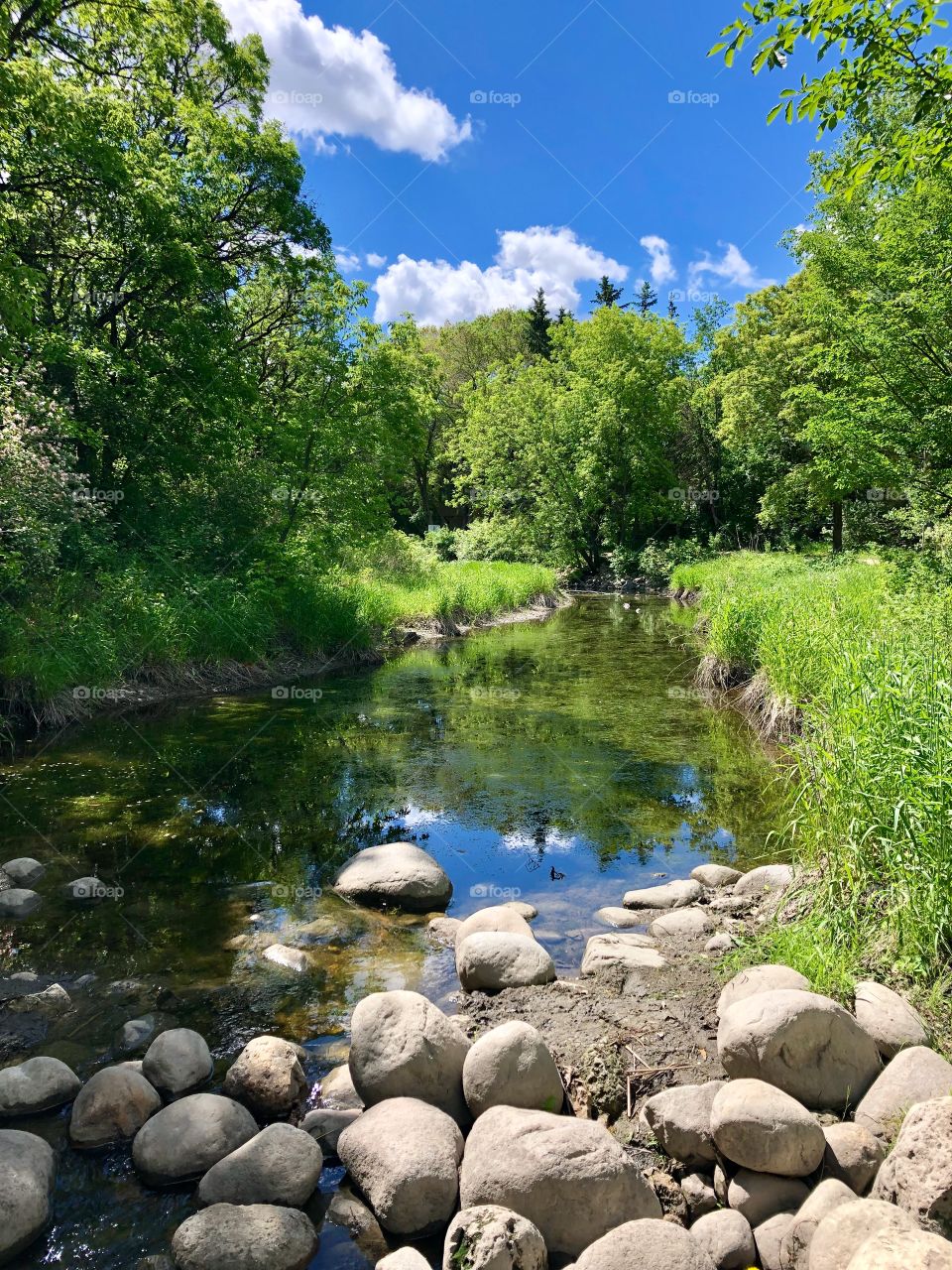 Peaceful creek 