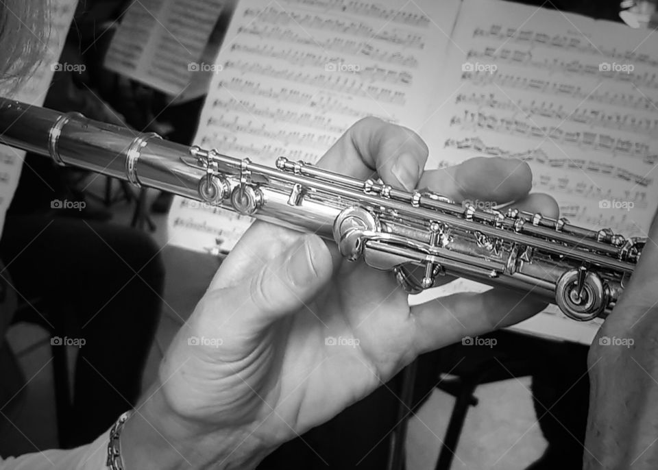 Flautist in my local orchestra