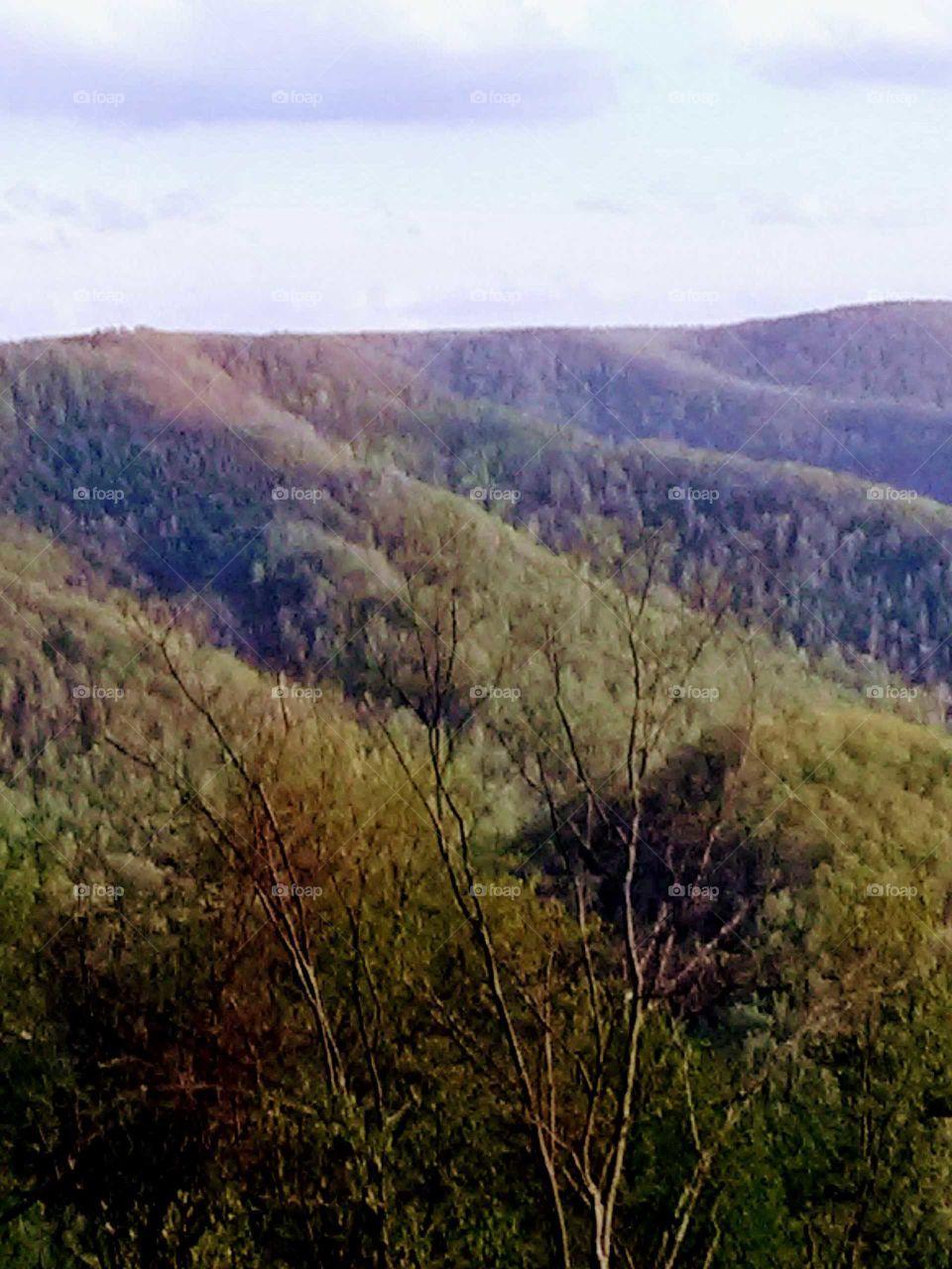 Appalachian Mountains by my house